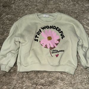 Toddler girl Zara sweatshirt.